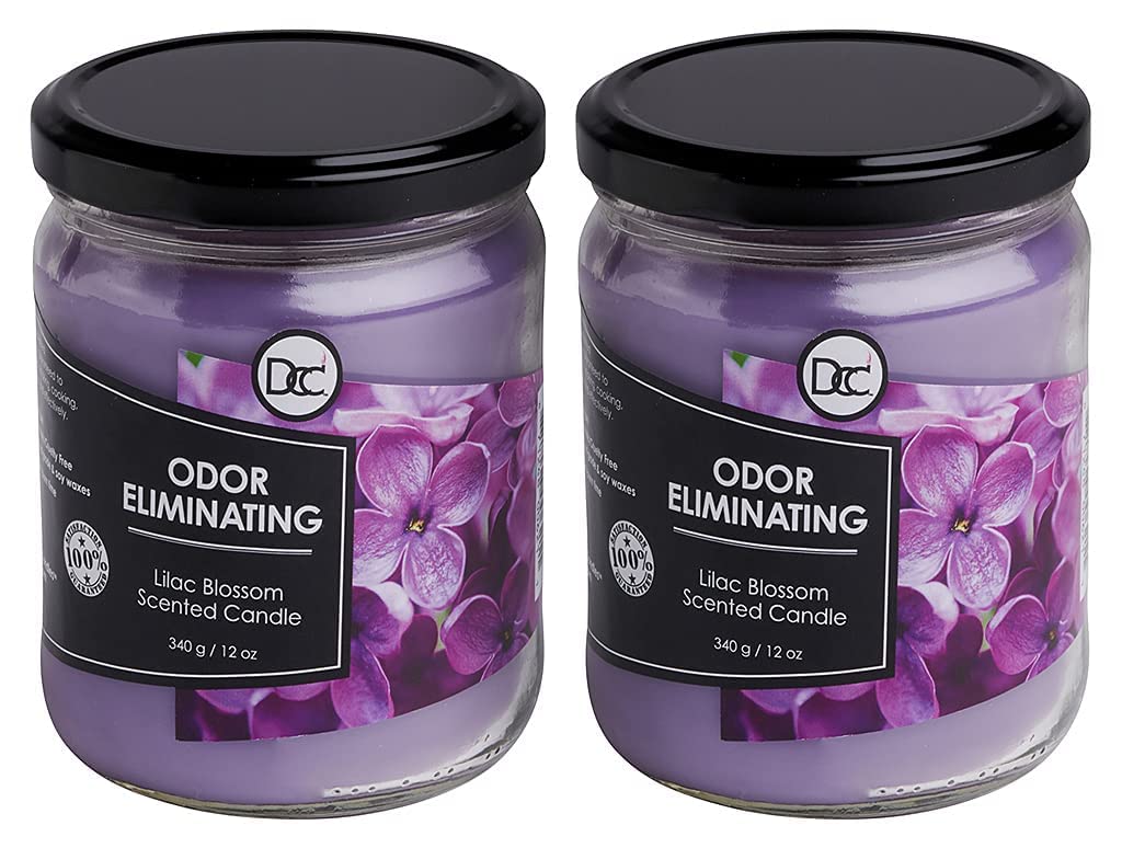 Vanilla Bean Odor Eliminating Highly Fragranced Candle - Eliminates 95% of Pet, Smoke, Food, and Other Smells Quickly - Up to 80 Hour Burn time - 12 Ounce Premium Soy Blend