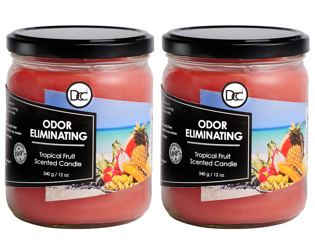 Vanilla Bean Odor Eliminating Highly Fragranced Candle - Eliminates 95% of Pet, Smoke, Food, and Other Smells Quickly - Up to 80 Hour Burn time - 12 Ounce Premium Soy Blend